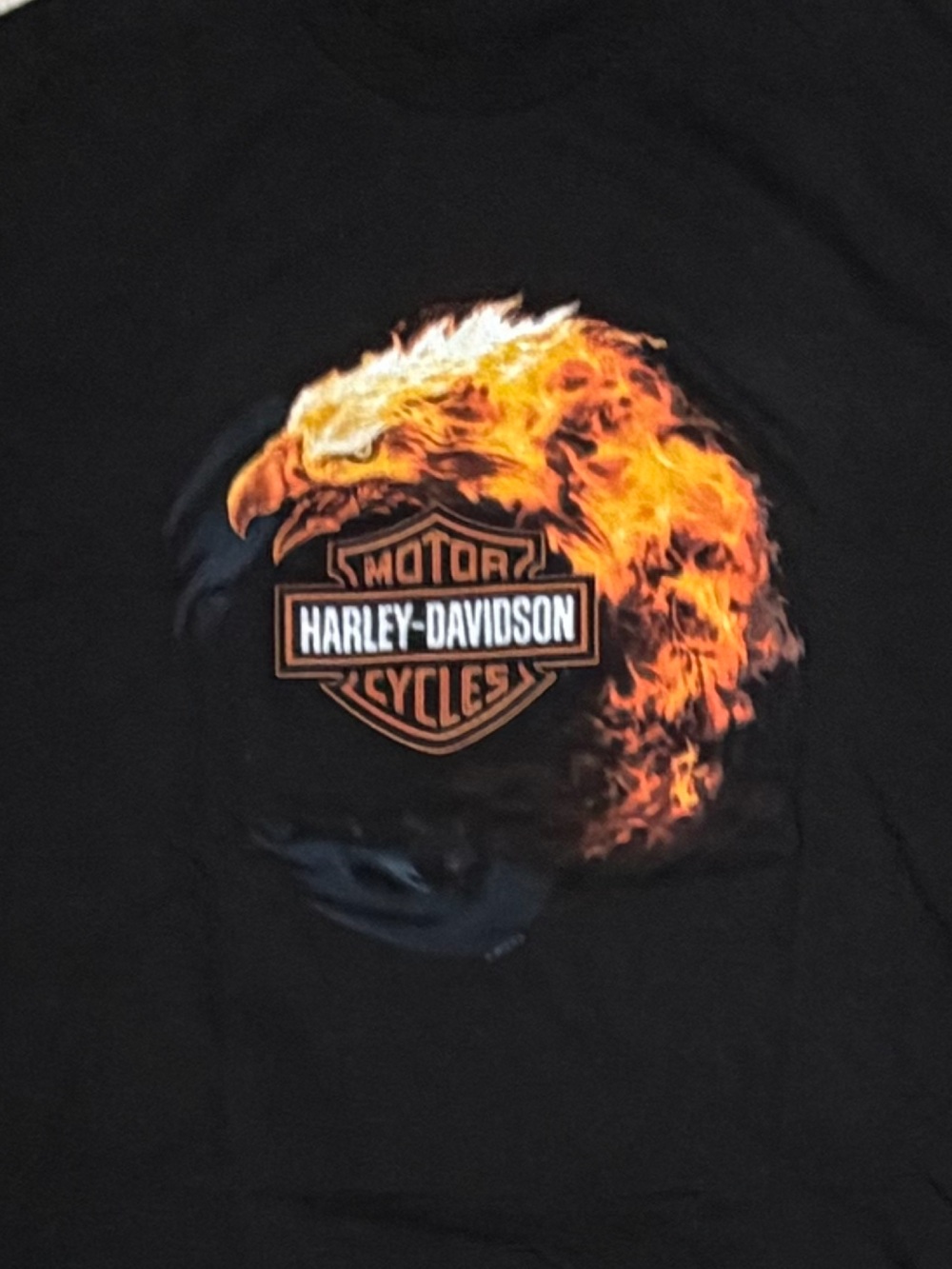 Harley-Davidson Motorcycles Texas Biker Crewneck Men's Tshirt - Picture 7 of 7